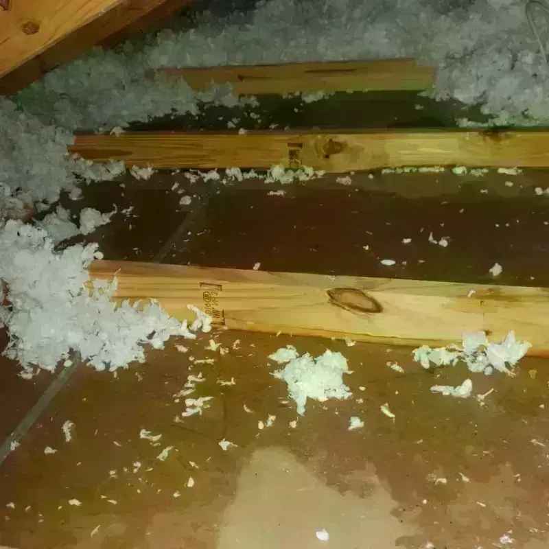 Best Attic Water Damage Service in Barren County, KY